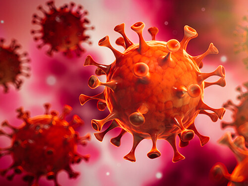 Preparados para la prevención del coronavirus